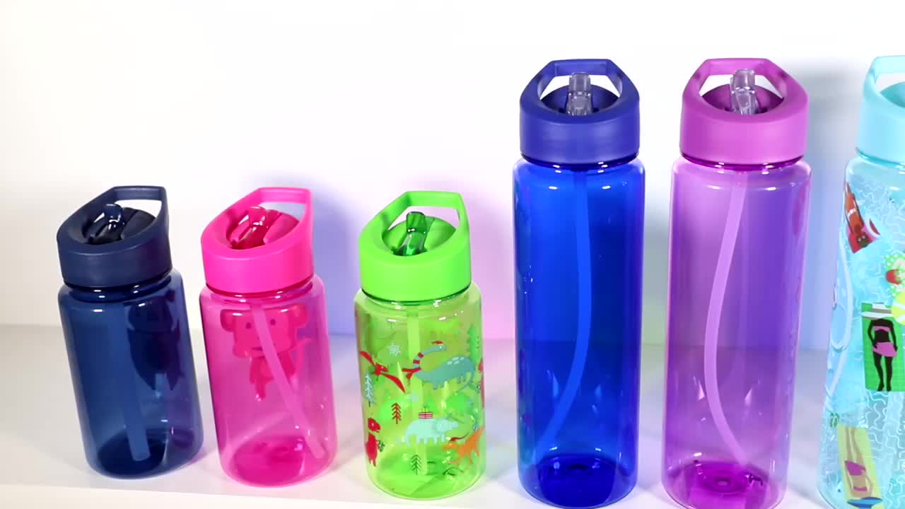 Factory Wholesale Fda Approval Portable 500ml Clear Tritan Insulated