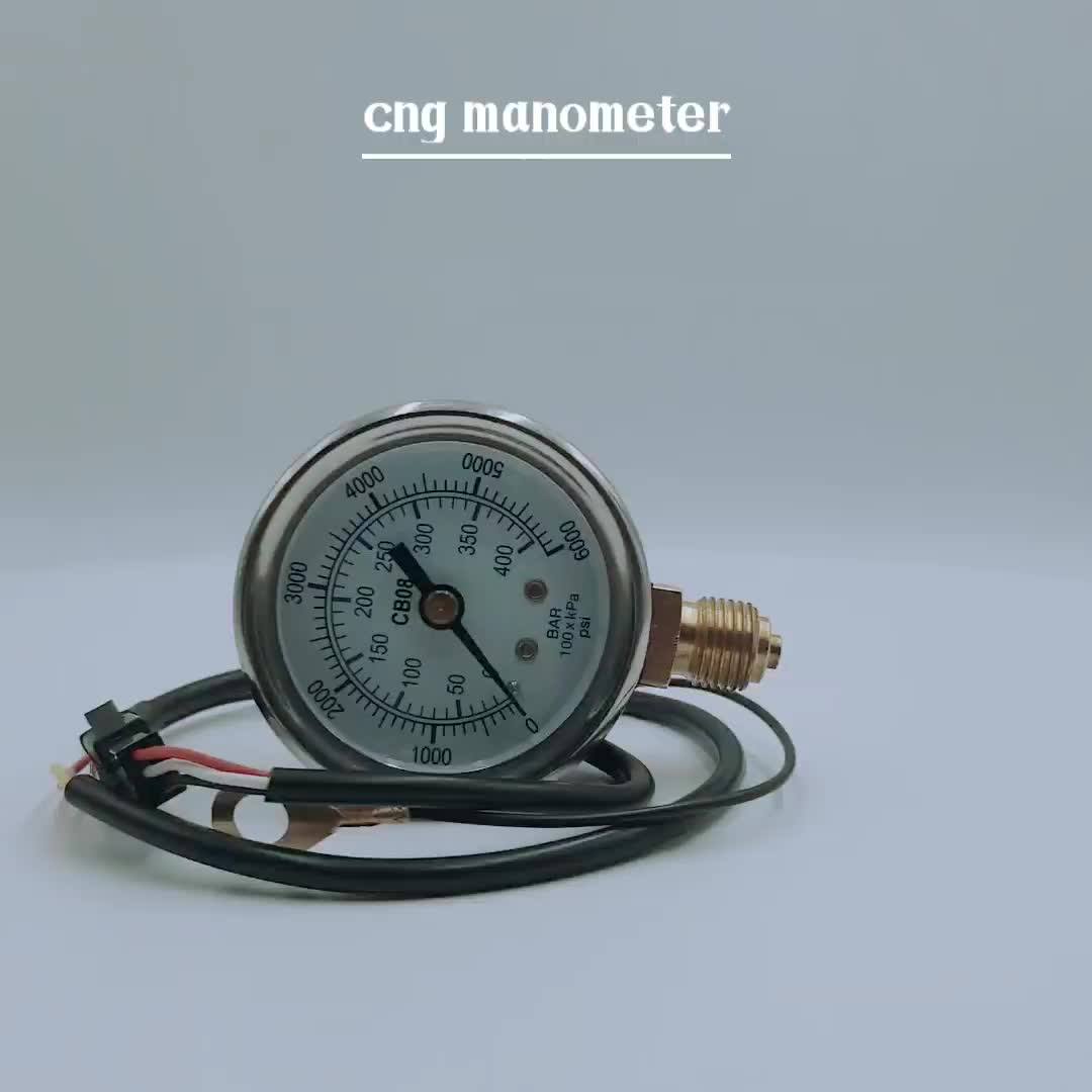 Fuel Natural Gas Mpa Pressure Gauge Buy Natural Gas Pressure Gauge