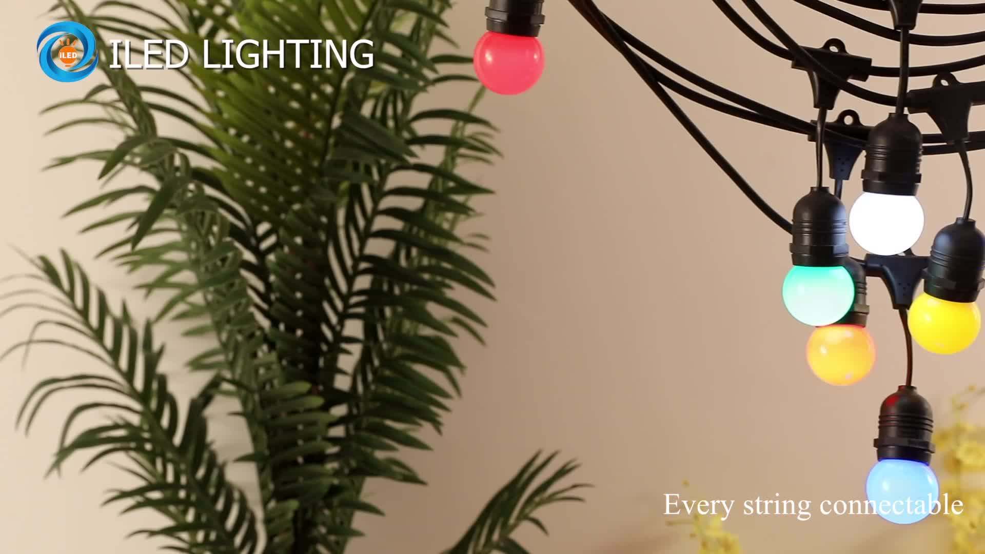 Holiday 100led 10m Rice Light Outdoor Plug Type Christmas Xmas Wedding