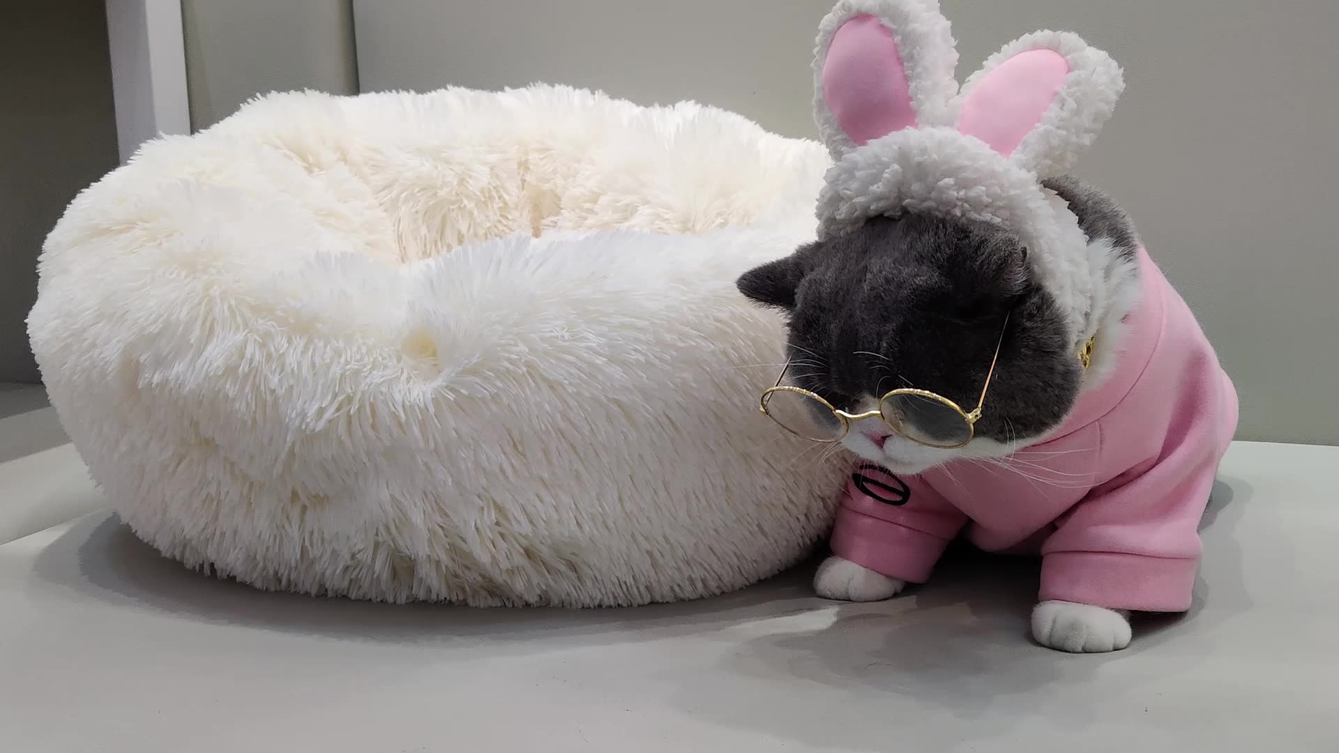Orthopädische Hund Betten Komfortable Donut Cuddler Runde Haustiere