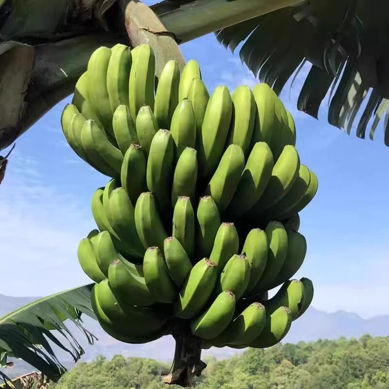 淘宝性价比高的女装店，普通人也能穿出高级感！