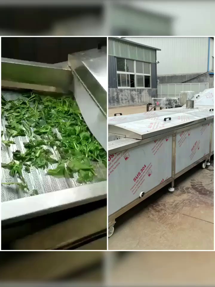 厨房革命！所有自动豌豆荚雪里红漂烫机、让美食更康健营养