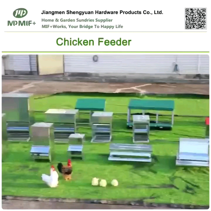 Galvanized Steel Poultry Feeder Trough Automatic Chicken Feeder Buy