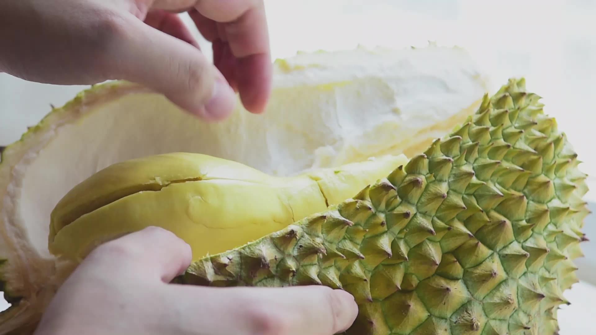 Perfect Choice Organic Vietnamese Durian Seed Whole Shape Sweet Ri6