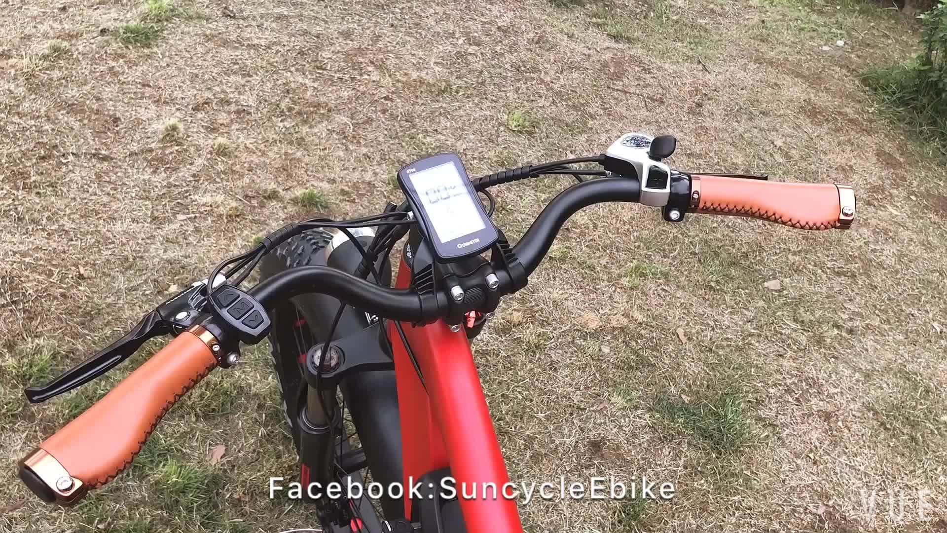 Suncycle Retro 48v500w Electric Road Lithium Electric Bicycle Chopper