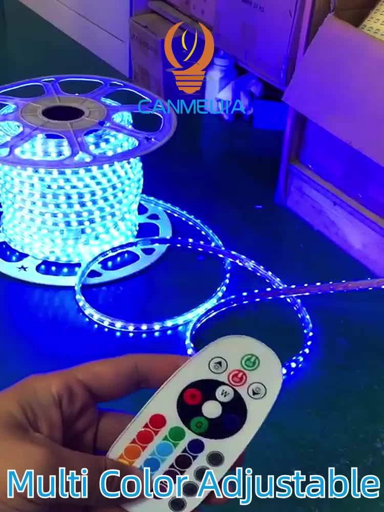 Wholesale Smart Waterproof Rgbw Neon Flex Led Strip Lights With Remote