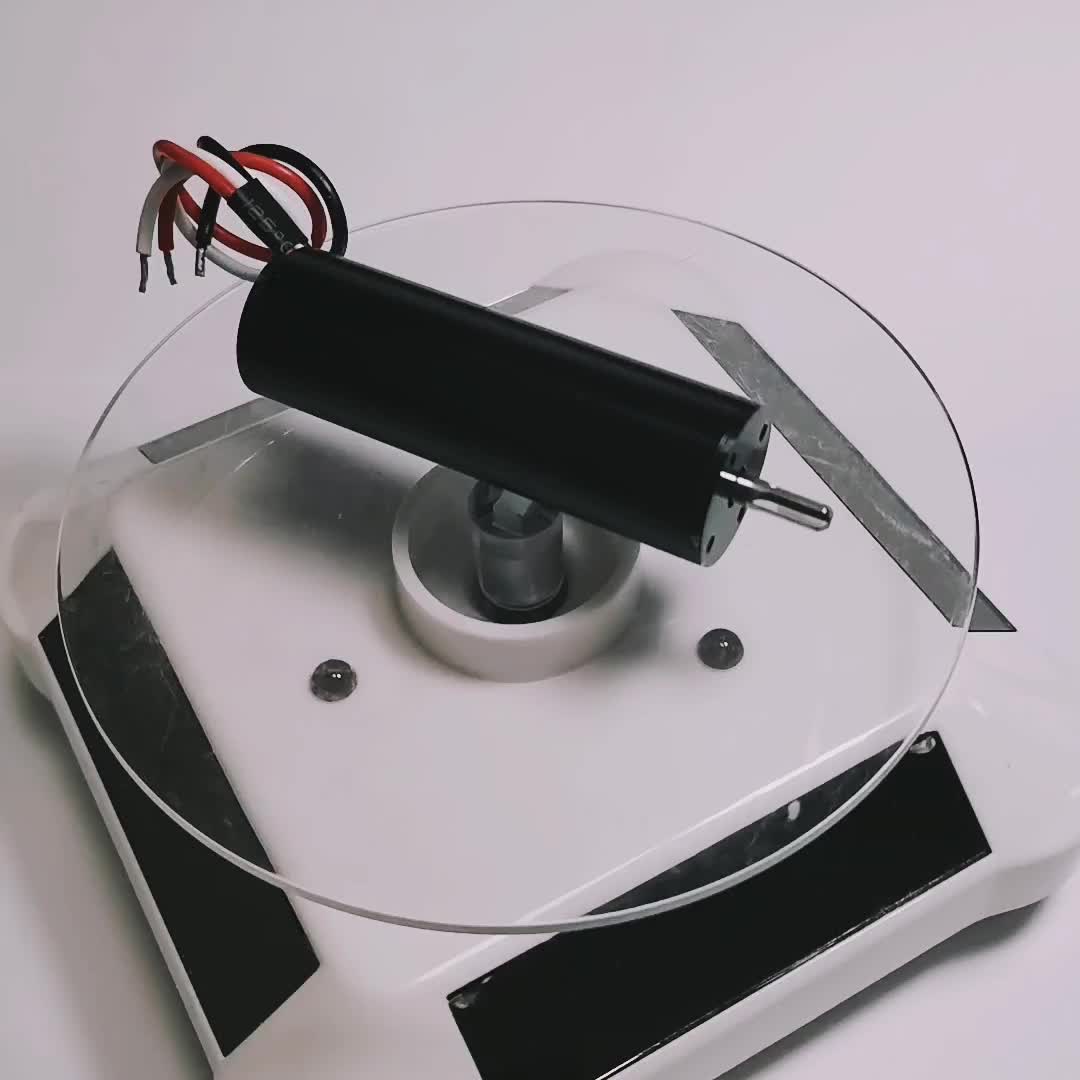 Bldc Coreless Mini Motor 12v Low Noise For Household Appliance