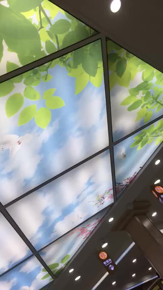 Lowest Price Hot Selling Pvc Stretch Ceiling Film 3d Infinity