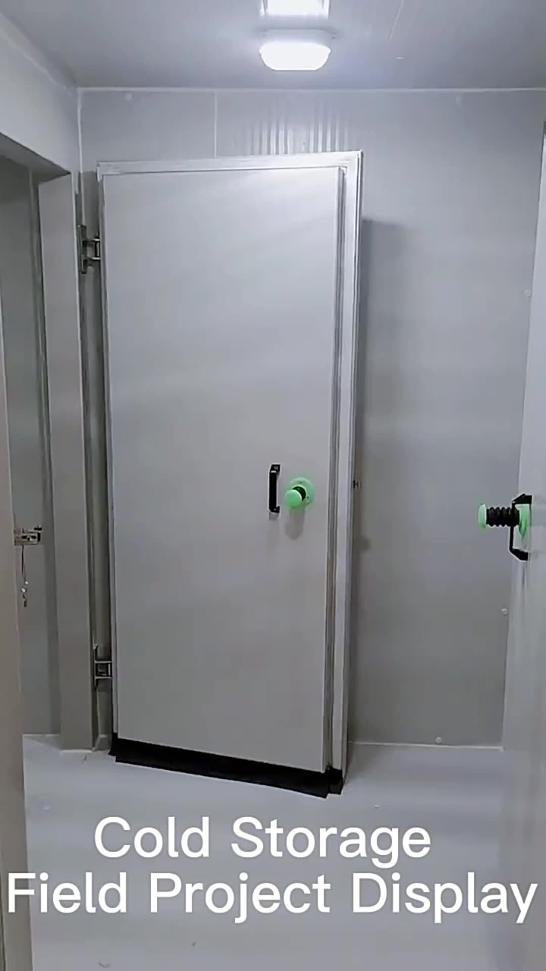 40 Ft 50 Ton Cold Storage Room Freezer Room Refrigeration Freezer For