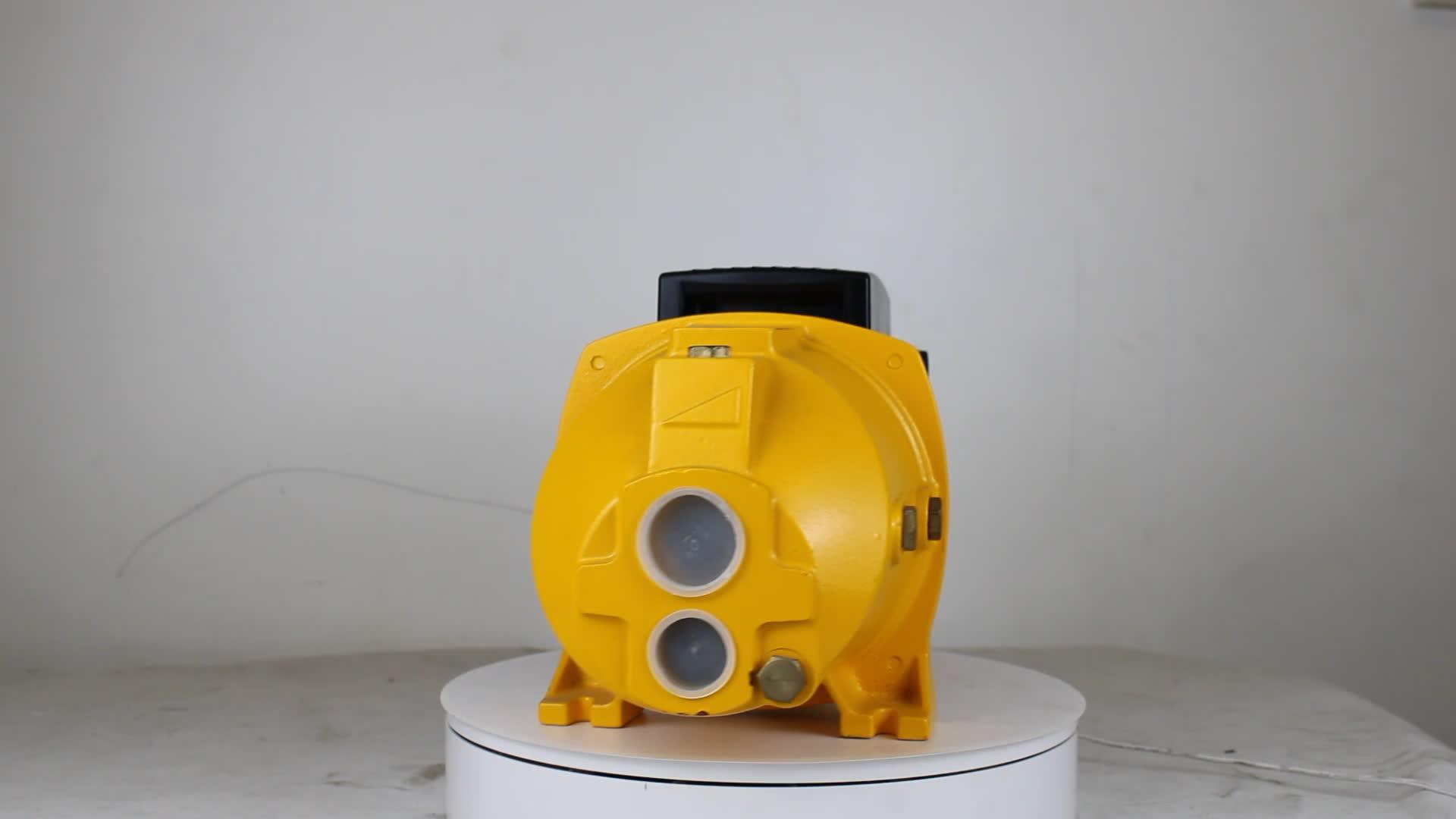 1hp 220v Electric Ac Jet Clean Water Surface Horizontal Selfpriming