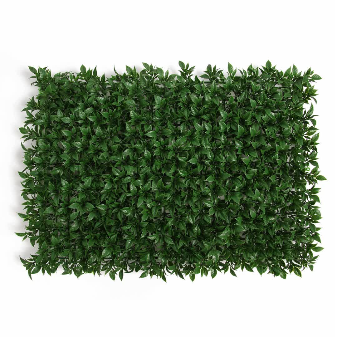 Wholesale 40*60cm Antiuv Plastic Green Flower Wall Vertical Green