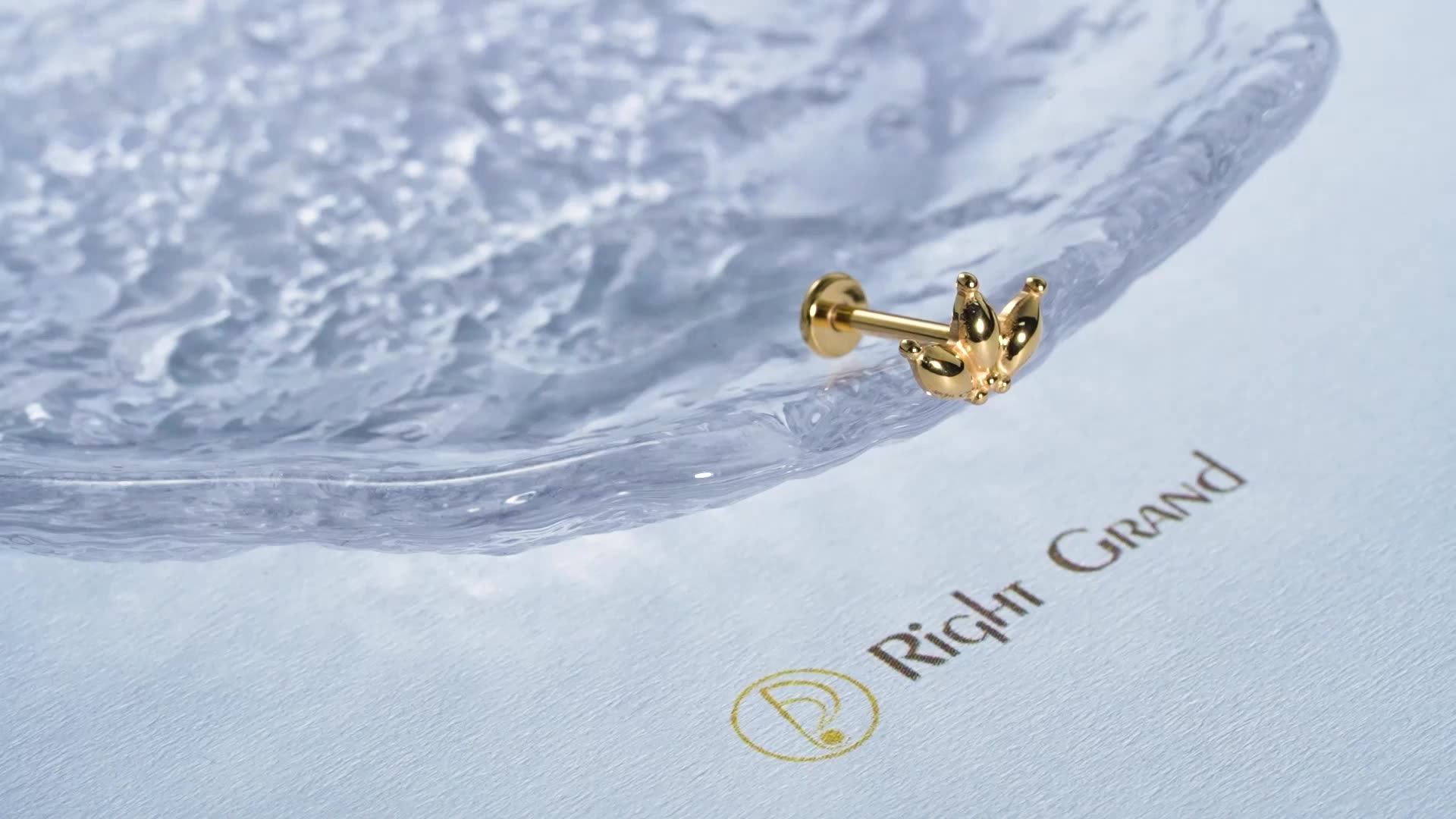 Lip Labret Ring Ear Tragus Titanium Gold Body Jewelry