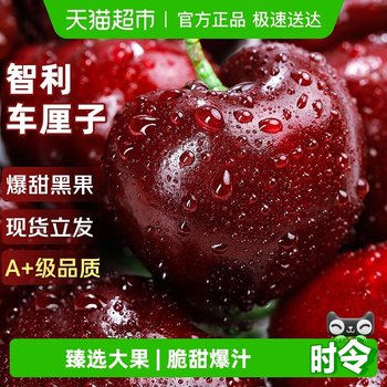 Spot chilean cherries 4j grade extra large fruit gift box