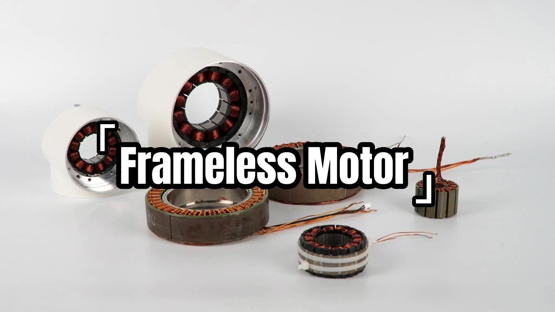 Customized 24v 120rpm 2 N.m Frame Less Brushless Dc Motor High Torque