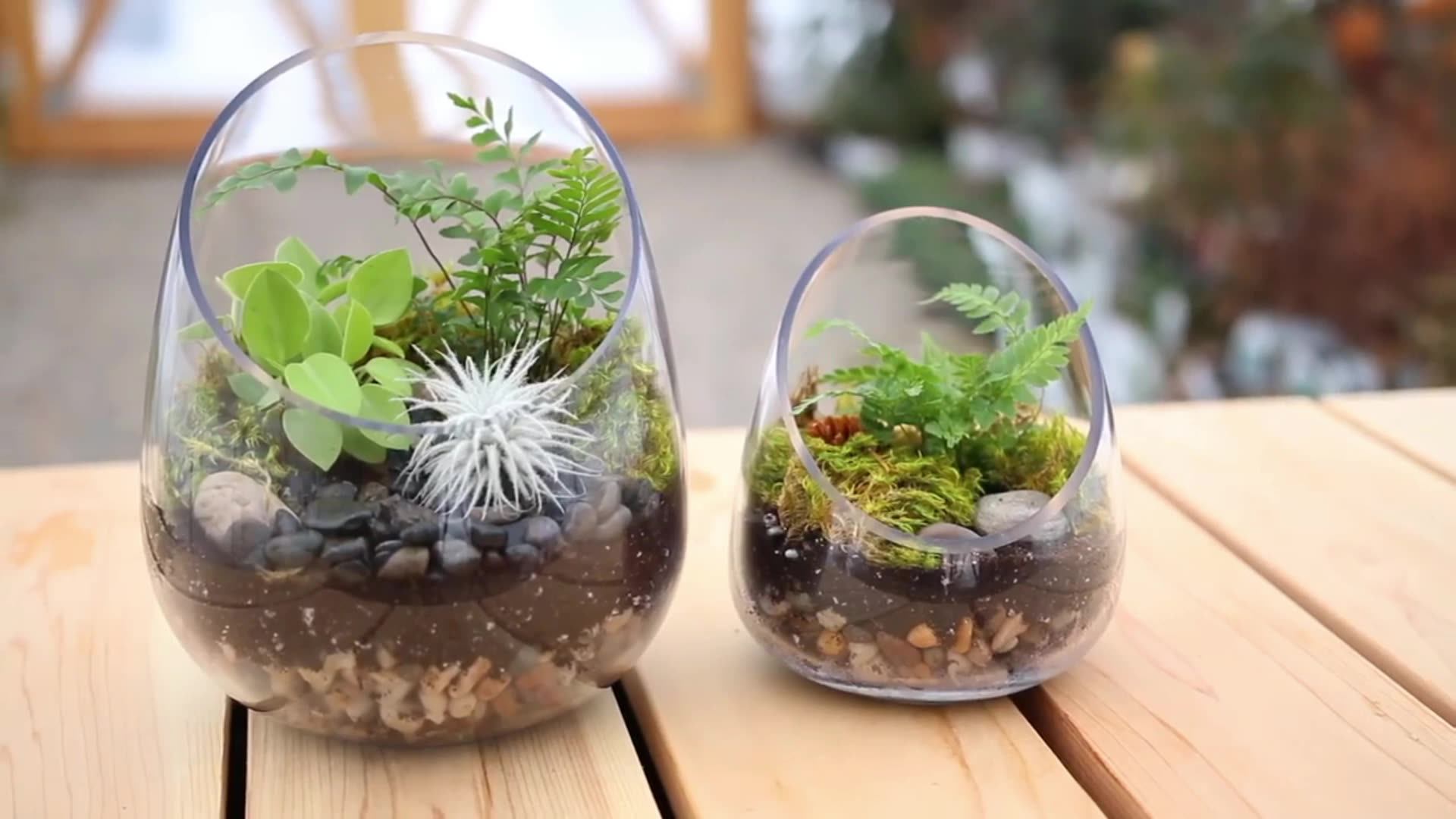 Slanted Round Decorative Round Clear Glass Tabletop Vase Home