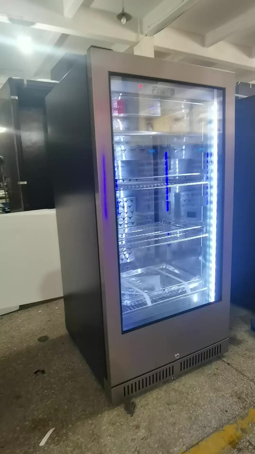 Stainless Steel And R600a Compressor Beef Maturing Or Dry Age