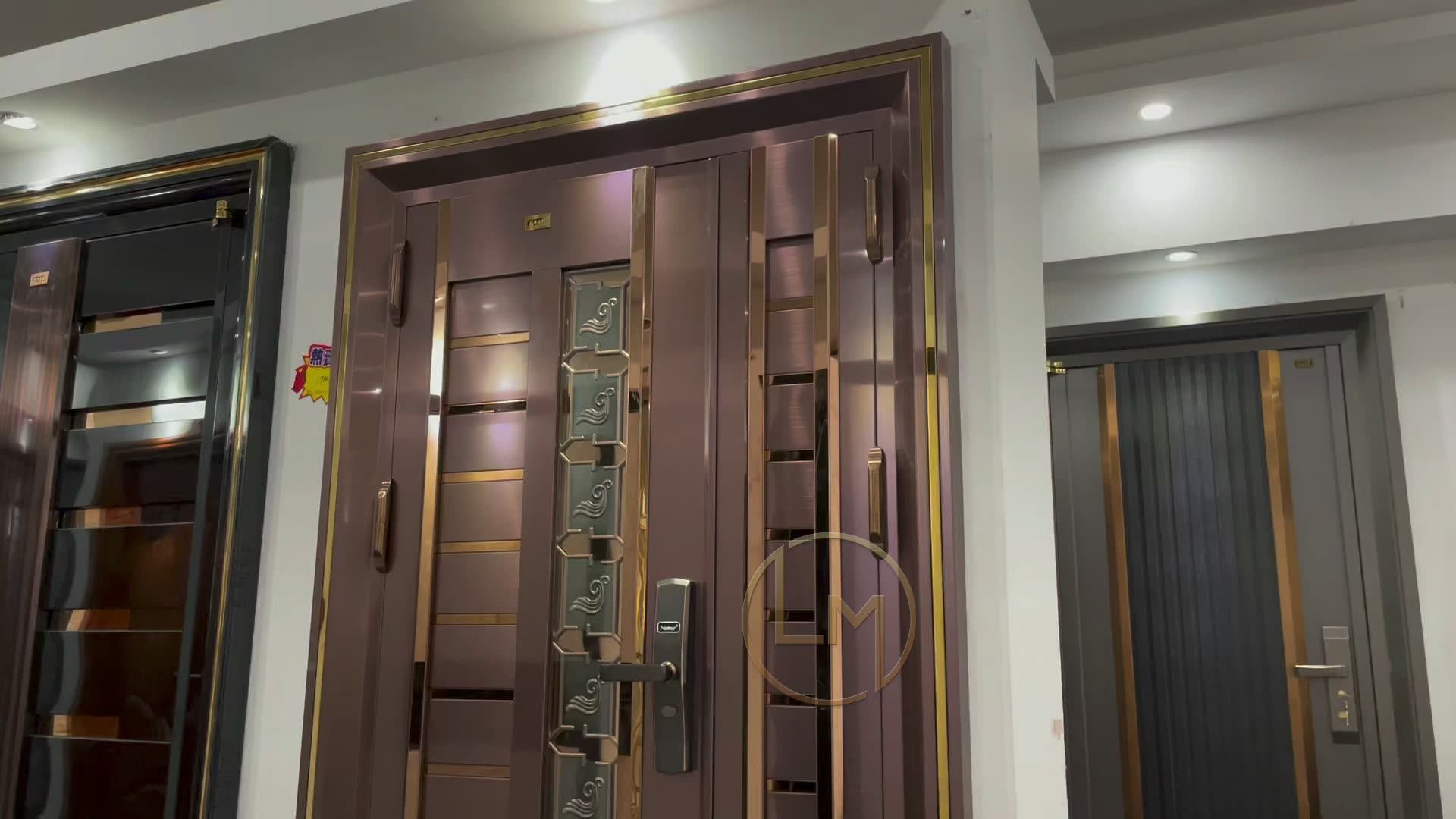 Modern House Stainless Steel Single Door Design Matt Black Door