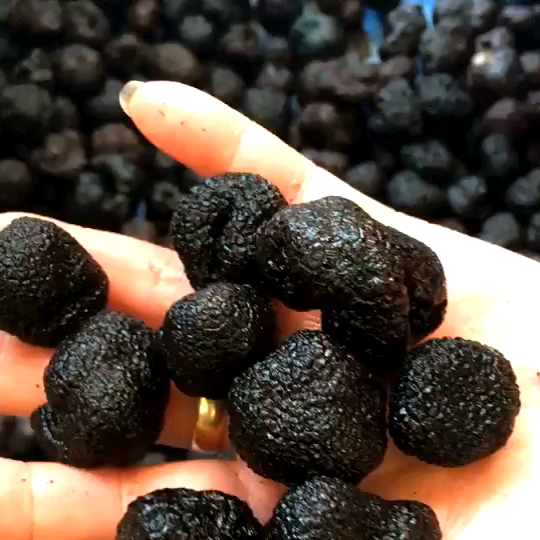 Chinese Truffle Price Wild Grow Best Quality Desert Truffle Elvan
