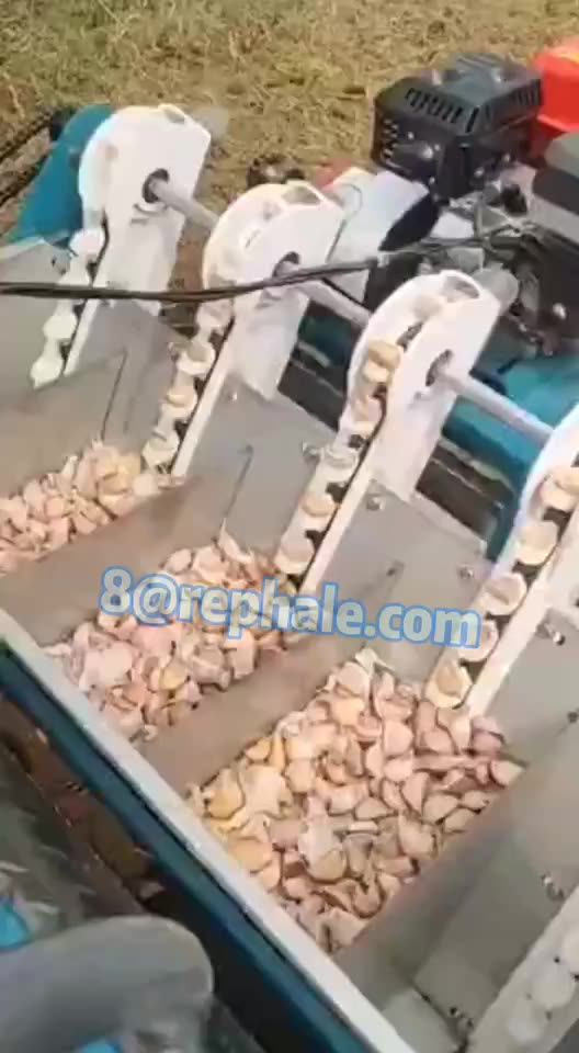 Electric 3 Rows Garlic Planter /seeder /seedling /growing Machine Buy