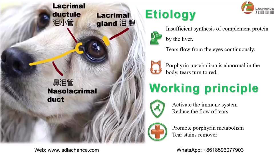 Pet Health Supplementbile Acidsremove Tear Stains,Jaundice And Cholestasis,Enhance Immunity