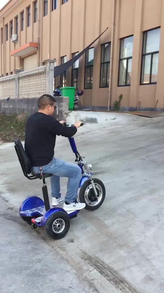 700w48v Rear Wheel Drive Electric Scooter Zappy Three Wheel Electric