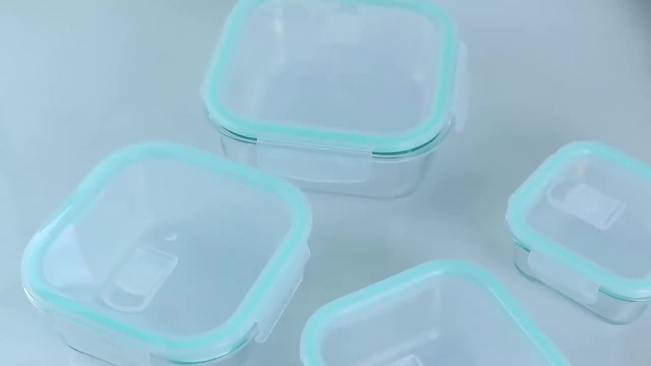 High Borosilicate Glass Storage Containers Freezer Safe Food Storage