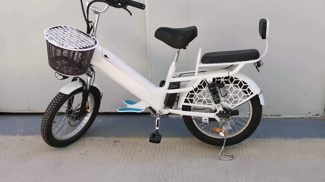 Taiqi N5 20'' Suspension Single Speed Front Disc Brake Rear Rising