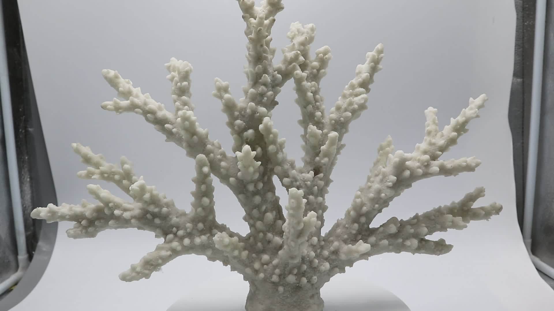 Resin White Sea Coral Decoration Aquariums & Accessories Reef Products