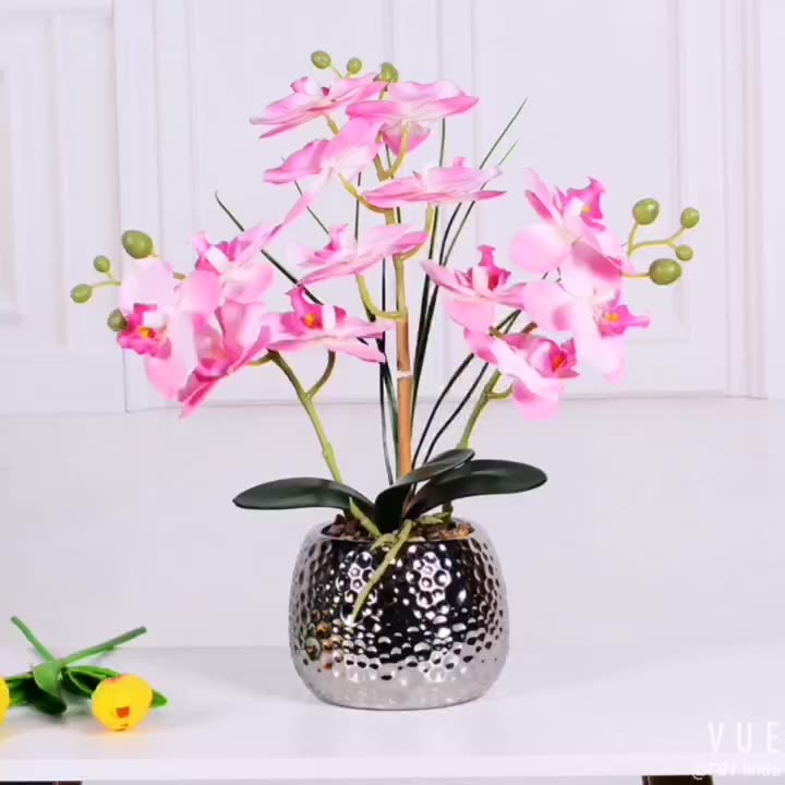 Orquídeas Falsas De Seda,Adornos De Flores Artificiales,Arreglo De  Flores,Bonsái En Maceta,Phalaenopsis,Orquídeas,Venta Al Por Mayor - Buy  Artificial De La Orquídea Flores,Orquídea Artificial De Las Plantas,De Orquídea  Arreglos Product on Alibaba.com