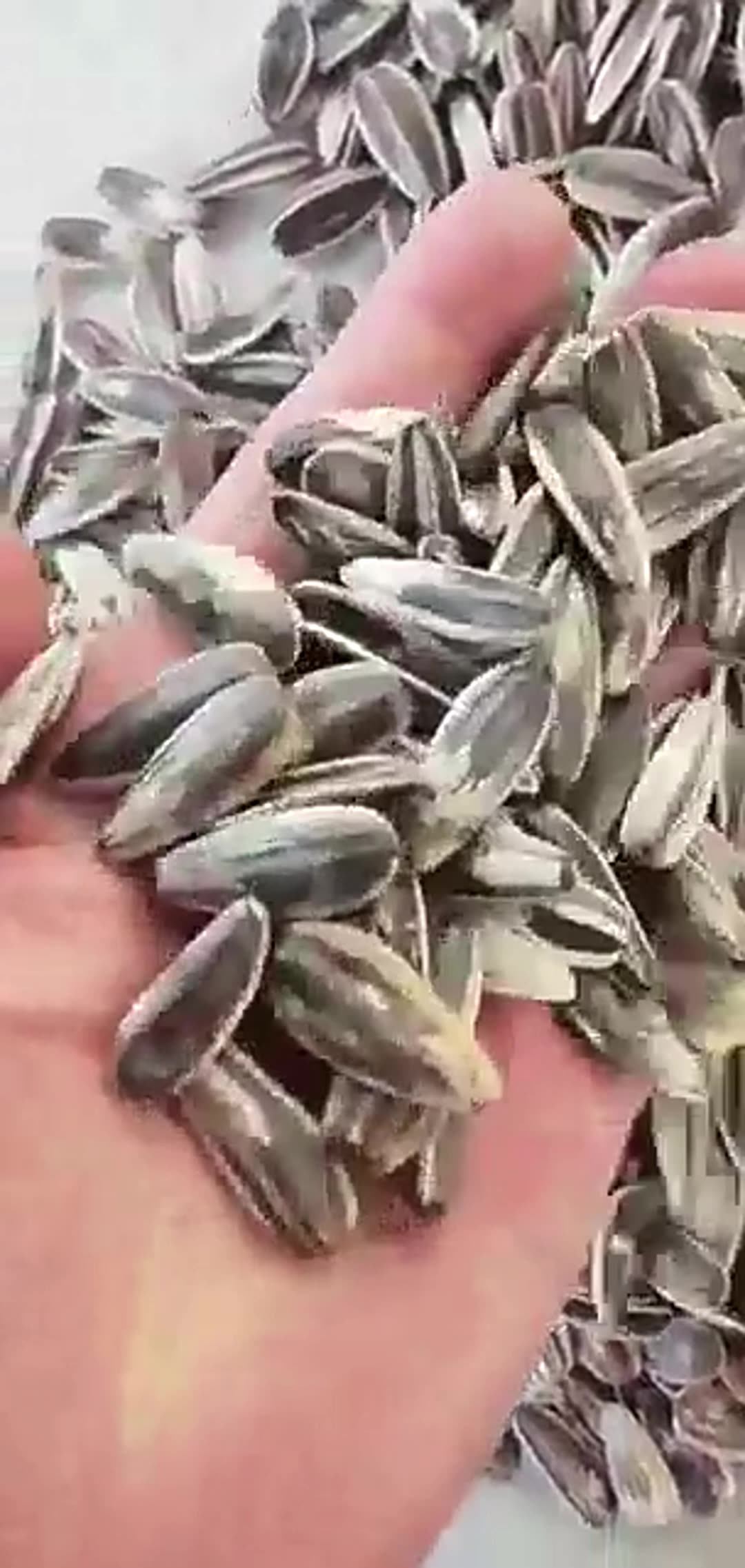 Manufacturer Provides Discounted Prices Chinese 361sunflower Seed