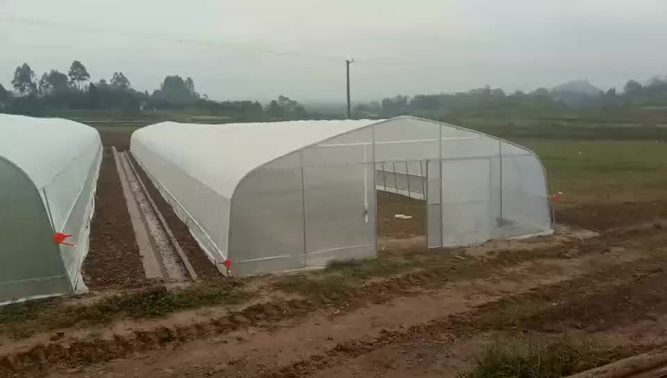 20ft 30ft High Tunnel Hoop Greenhouse Diy Kit With Solarig Covering