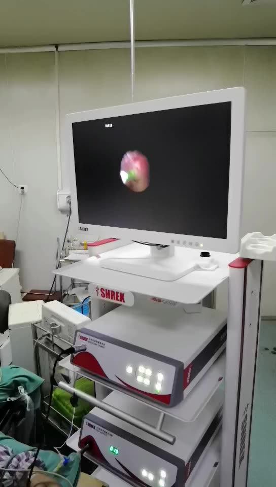 Medical Endoscopy Surgery Equipment Epiduroscopy Urology Endoscope