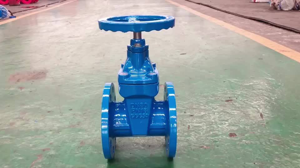 Ggg50 Bs5163 Din3352 F4 Ductile Iron Gate Valve With Prices Resilient