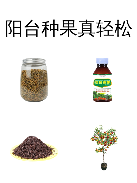 阳台种果真轻松-淘宝逛一逛