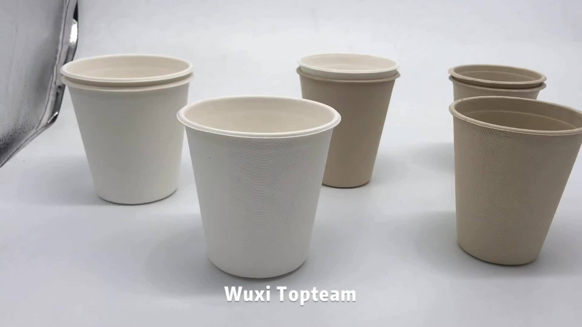 13oz Sugarcane Water Cup Biodegradable Microwaveable Disposable Cups