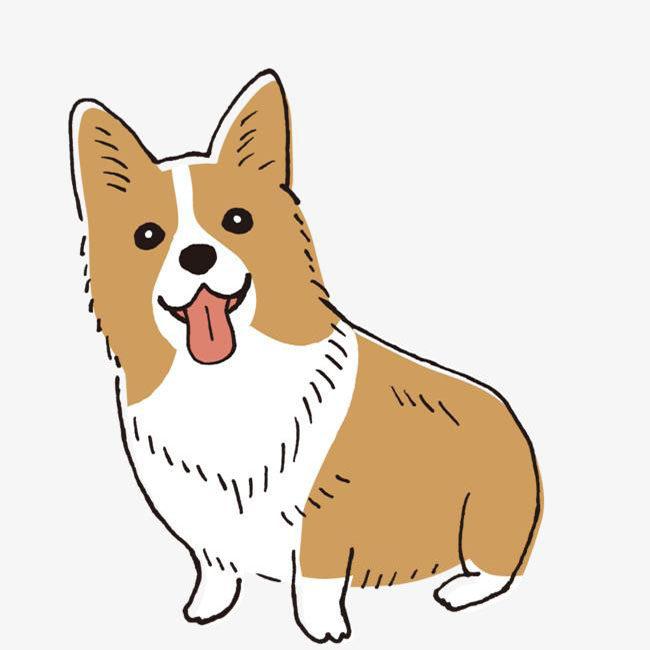 柯基小蜜罐