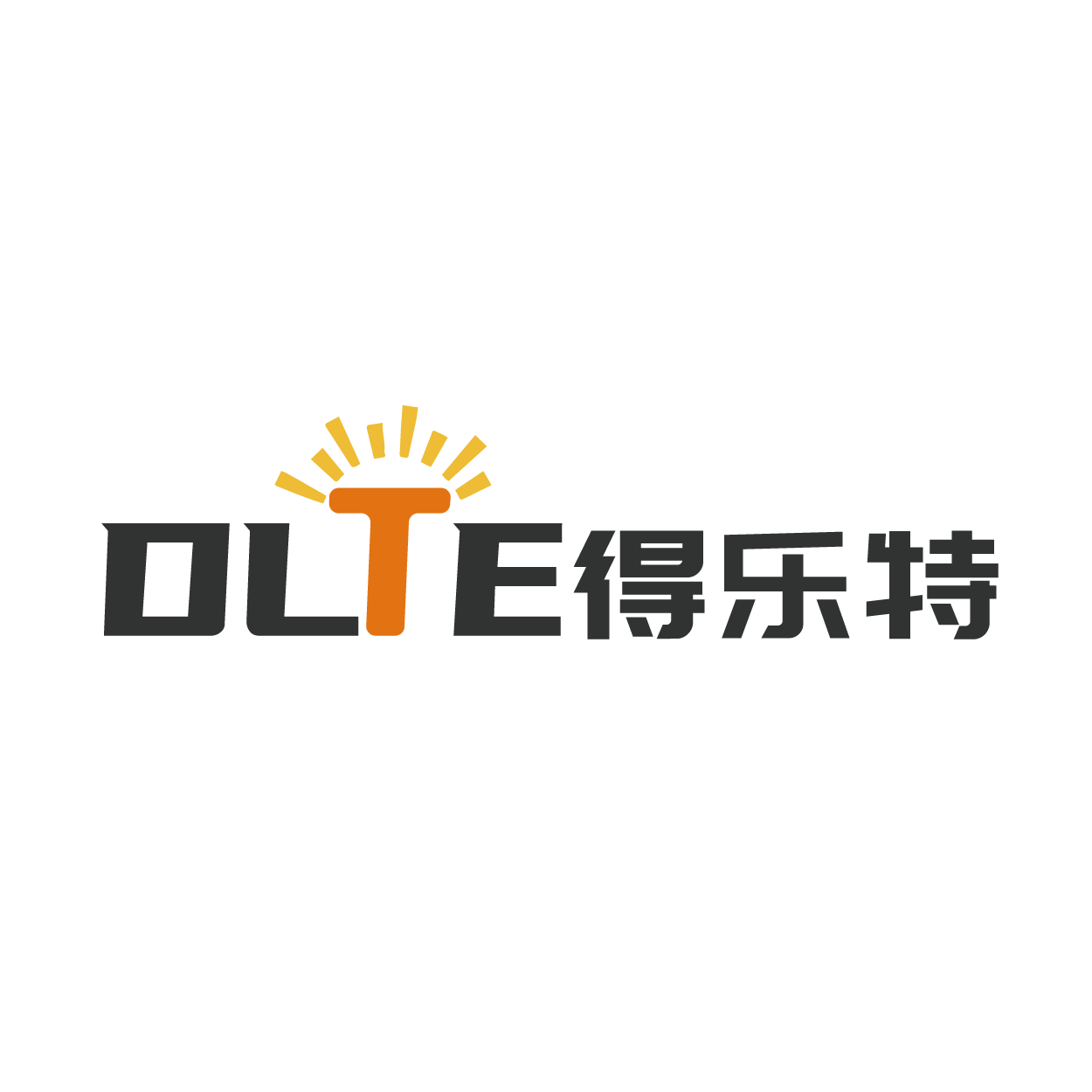 DLTE灯具照明店的LOGO