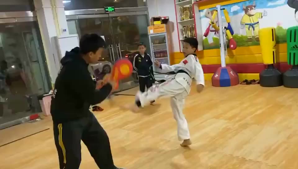 Taekwondo Double Kick
