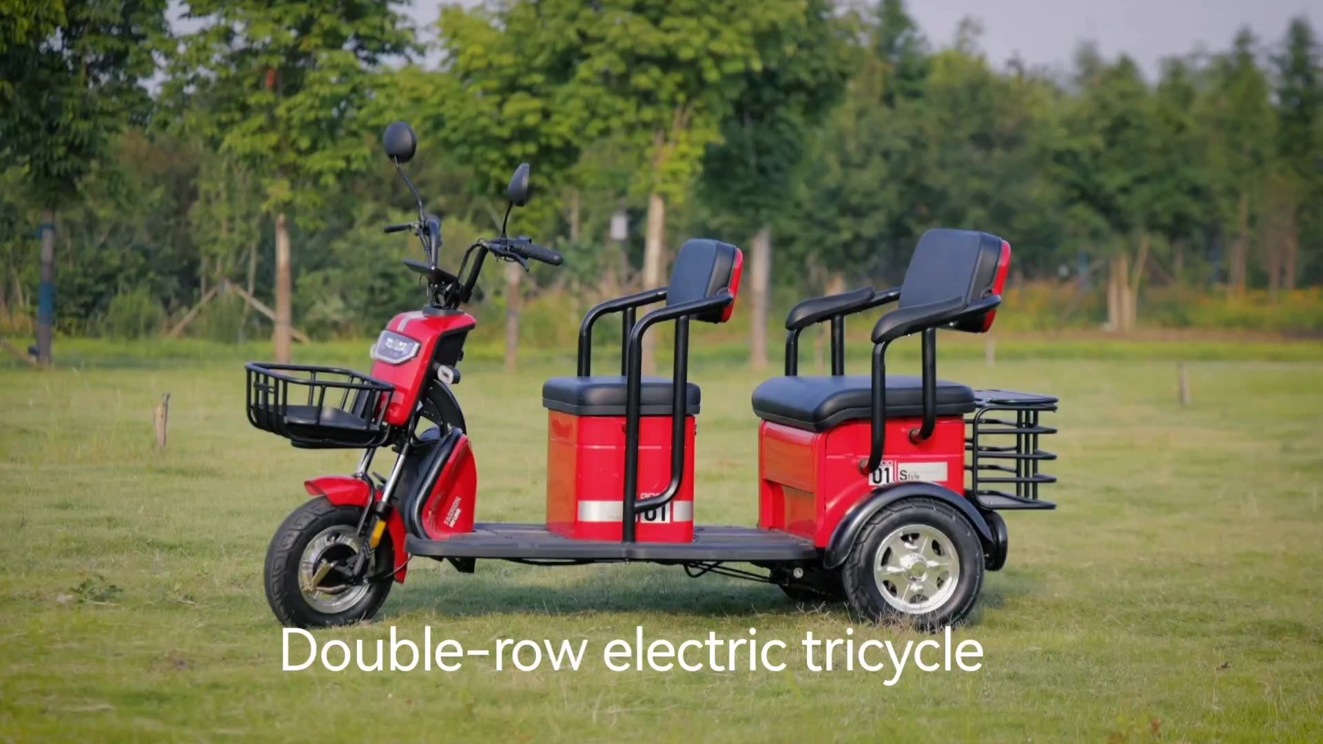 Electric Tricycle Open 3 Wheels Tricycle High Quality 800w 60v Electric