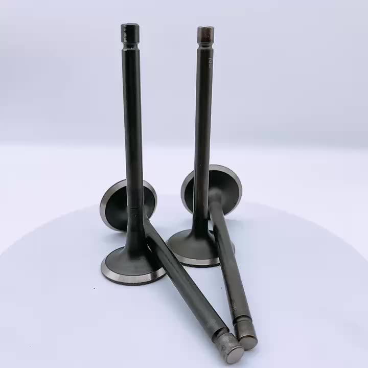 All New Auto Engine Oem For Benz M102/102.961 1020530901 Intake Valve