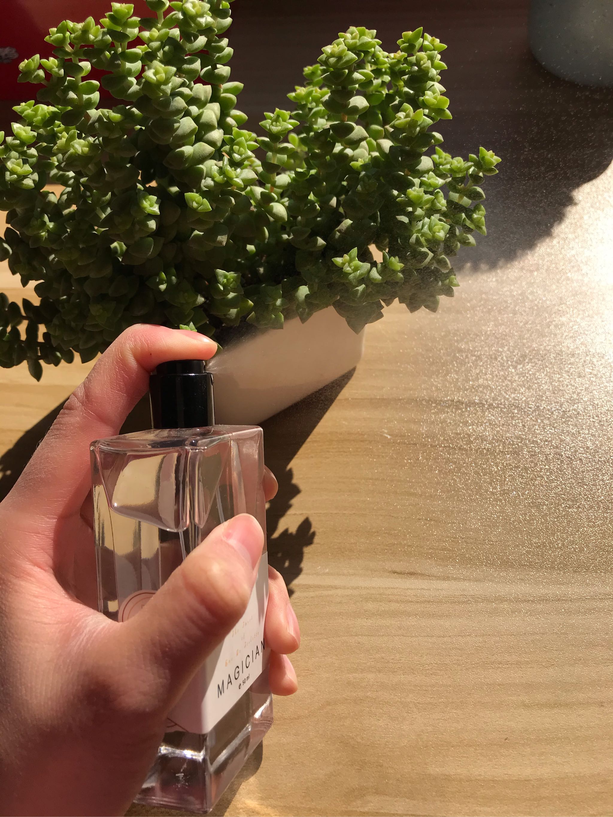 木子青调香室塔罗系列香氛怎么样？效果好吗？明星同款使用后评价,第9张