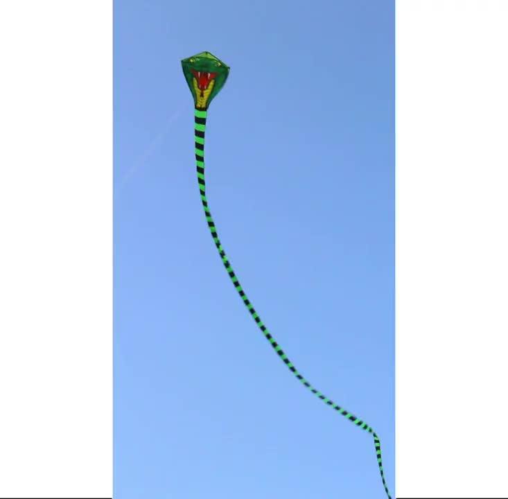 New Arrival 8m Snake Kites For Sale Buy Kites For Sale,Kite,Kids Toys