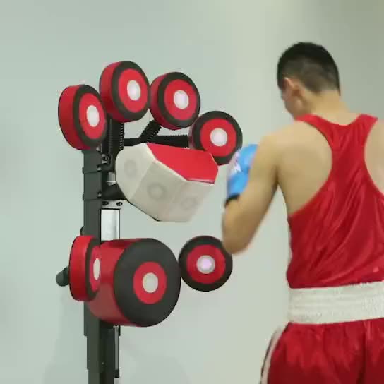 Boxing Vertical Multiposition Adjustable Boxing Target Multifunctional Gym Professional Boxing