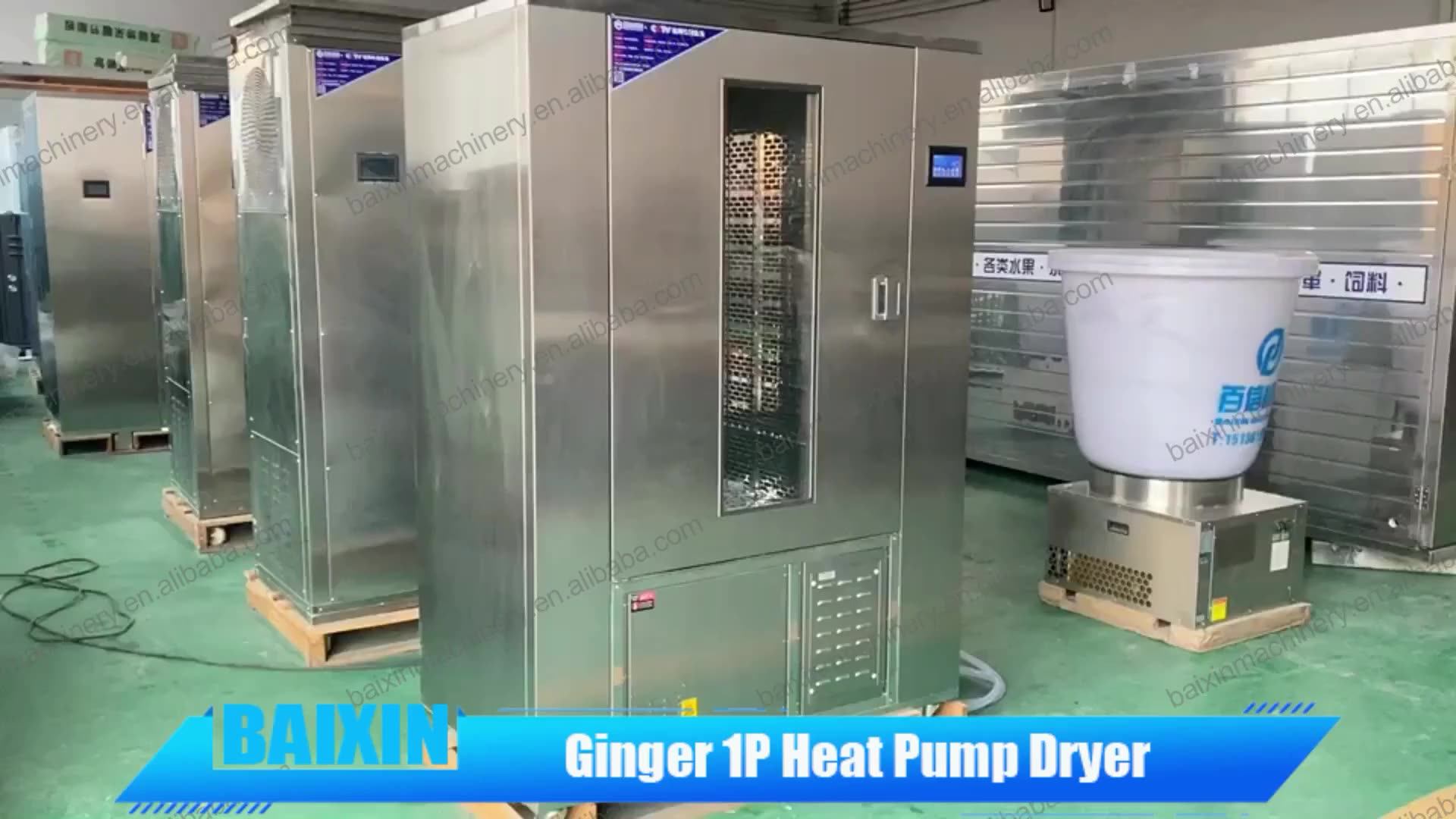 Fresh Onion Drying Machine Fruits And Vegetables Dehydration Machine