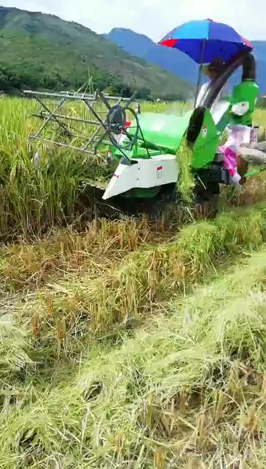 High Quality Mini Combine Rice Harvester Wheat Harvester Cheap Price