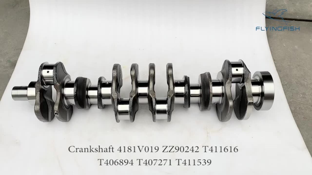 高质量柴油发动机零件曲轴套件4181V019 ZZ90242 T411616 T406894
