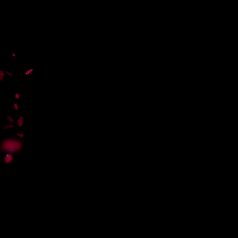 9V电池还敢叫“碱性”。5节32A电流居然只要15.9。这波是智商税还是黑方式。