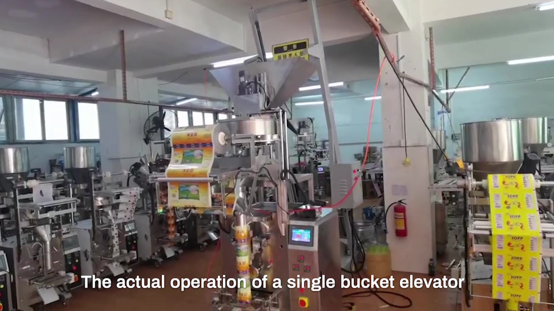 Stainless Steel Bucket Elevator Rice Grain Corn Cereal Grain Single