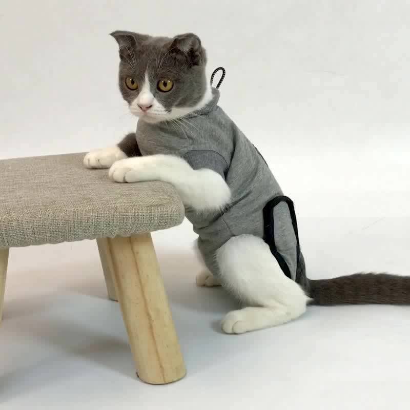 Cat Recovery Suit Cotton Shirt After Surgery Wounds Buy Cat Recovery Suit,Cat Cotton Shirt,Cat