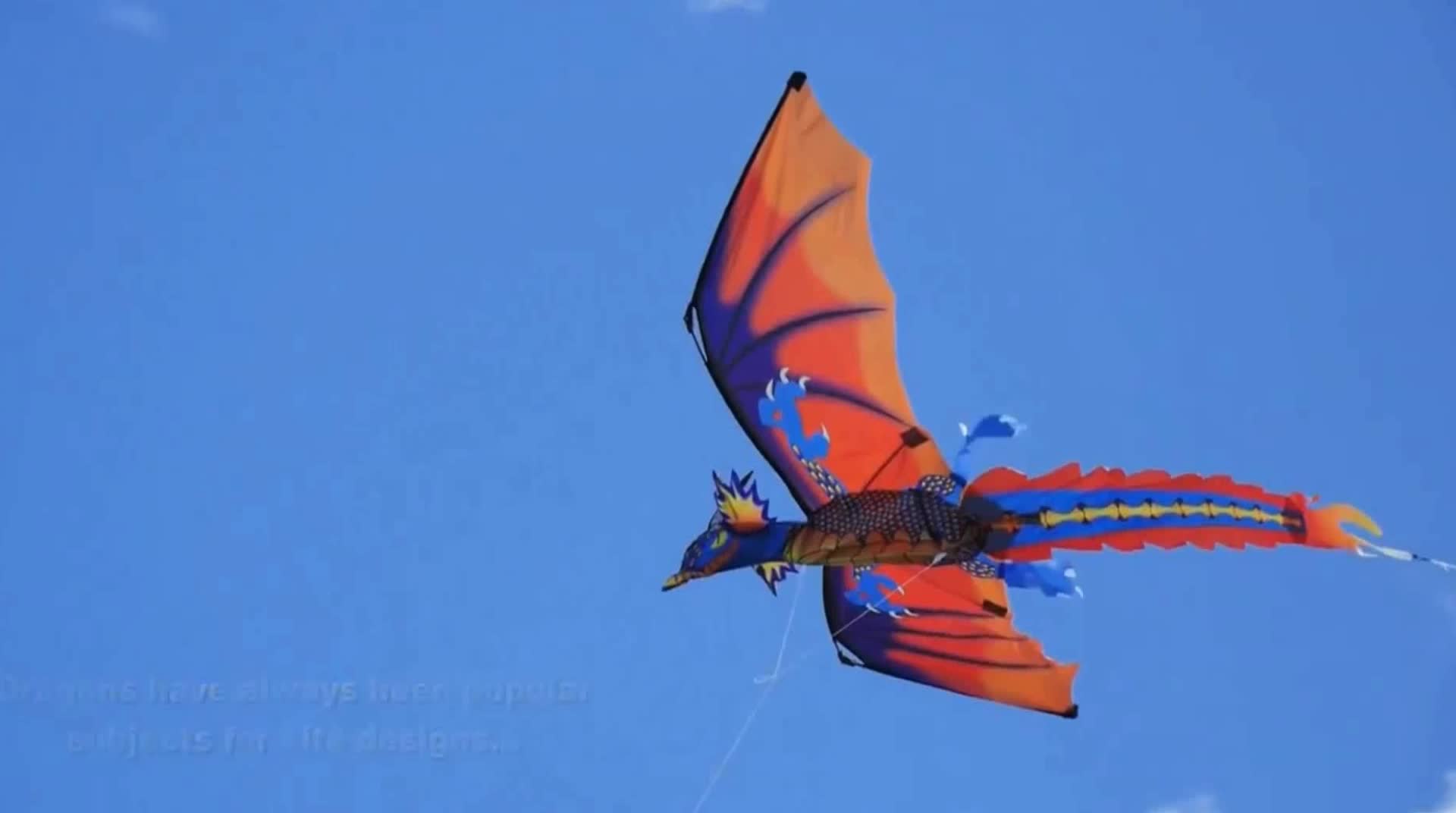 large 3D dragon kite for sale, View kite, I'm a bird Product Details